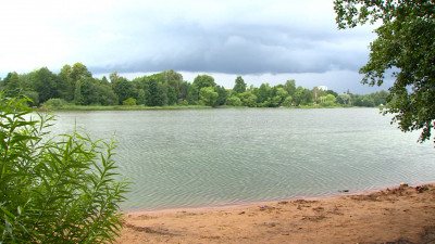 Роспотребнадзор назвал озеро в Петербурге, купаться в котором не опасно для здоровья