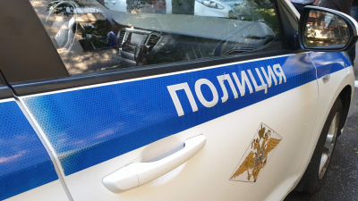 В Петербурге мужчина похитил двухлетнего сына у бывшей жены