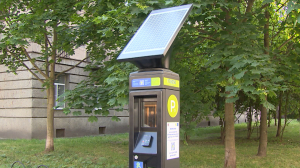 Транспортная трансформация Петроградского района