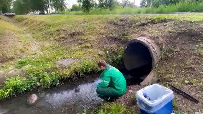 Специалисты Росприроднадзора обнаружили загрязнения в реке Славянке