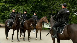 Во-первых, это красиво: на улицы Петербурга спустя 60 лет вернулась конная полиция