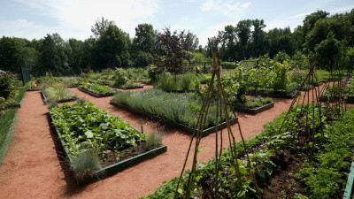 Александр Беглов поздравил петербуржцев с Днём садовода