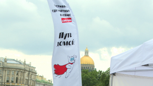 Усы, лапы, хвост и кроссовки. На Дворцовой площади состоялся второй Забег петербургских котов.