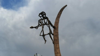 «Птица счастья» появилась в Кудрово