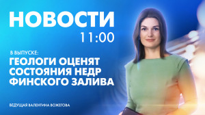 Новости Петербурга к 11:00
