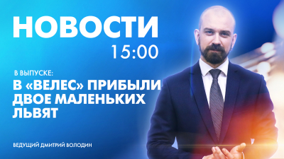 Новости Петербурга к 15:00