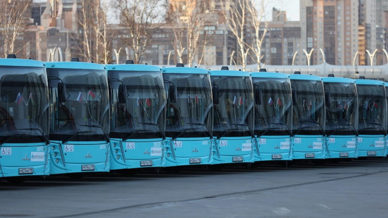 В Петербурге вернули на маршруты ранее отозванные автобусы МАЗ - tvspb.ru