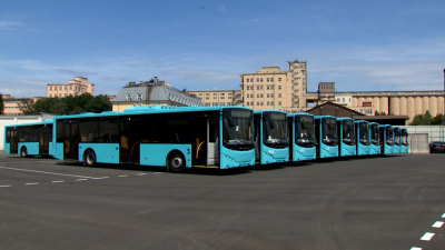 В Петербурге временно сняли с маршрутов 137 лазурных автобусов