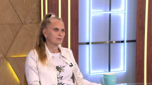 Они ведут социальный образ жизни: в чём причина нашествия ос на Петербург