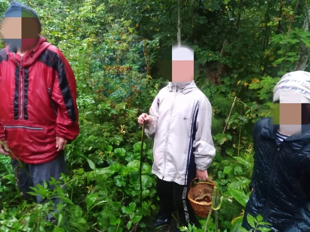 Мужчину с двумя детьми спасли из леса в Ленобласти - tvspb.ru