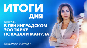 Новости Петербурга: Итоги дня