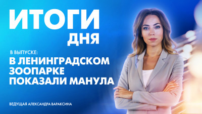 Новости Петербурга: Итоги дня