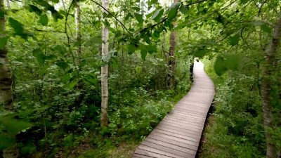 Петербуржцам рассказали о перспективах создания новых природных заказников на территории города