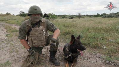 Минобороны показало работу кинологов в зоне проведения СВО