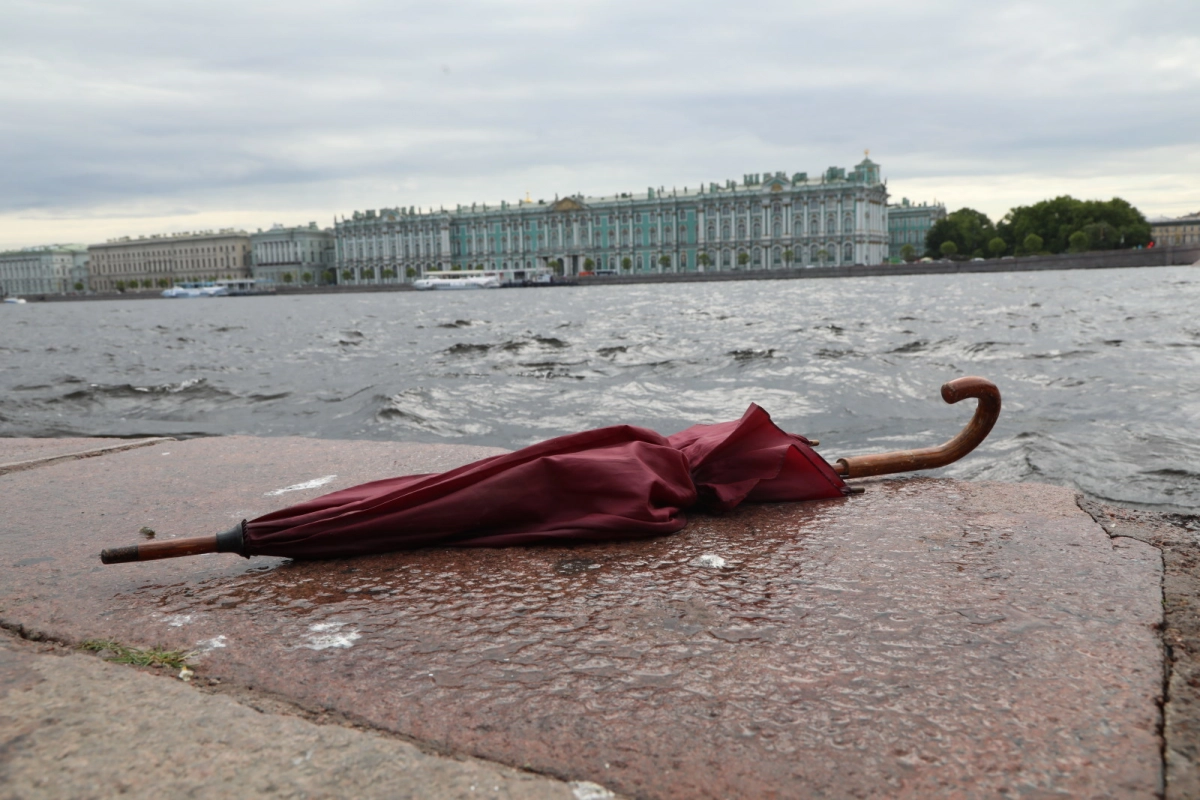 Во всех районах Петербурга из-за ливня дежурят 73 бригады «Водоканала» - tvspb.ru