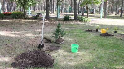 Обновленную площадку для отдыха открыли в центральном парке Зеленогорска