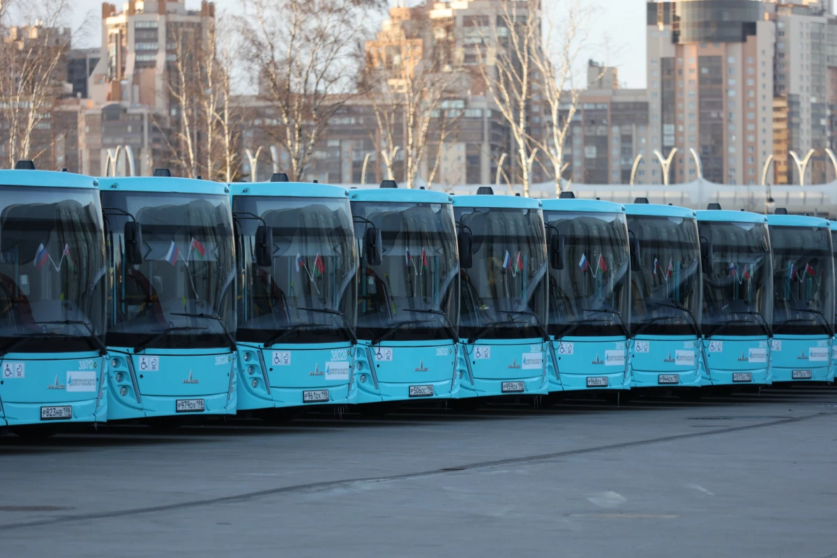 В Петербурге сняли с линии 137 потенциально опасных автобусов МАЗ - tvspb.ru