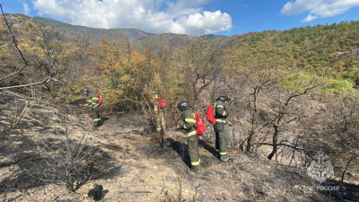 В Геленджике потушили крупный лесной пожар