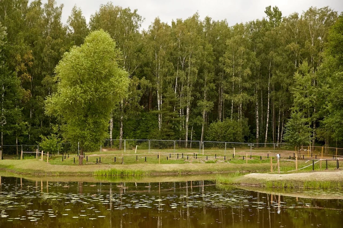 Рыбаки вытоптали новые газоны на набережной реки Лапка - tvspb.ru
