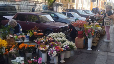 Цветы и уличный силомер: центр Петербурга очистили от незаконной торговли