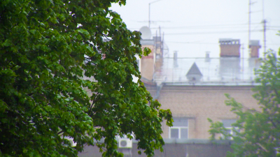 Со 2 по 4 августа в Петербурге объявили «желтый» уровень погодной опасности из-за гроз