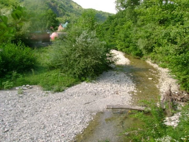 На Кубани местные жители убили двоих туристов – им грозит пожизненный срок - tvspb.ru