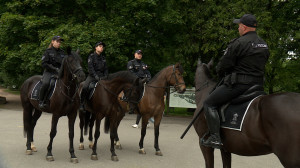 Во-первых, это красиво: на улицы Петербурга спустя 60 лет вернулась конная полиция