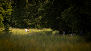 Флористические экскурсии. Луговое разнообразие Павловского музея-заповедника