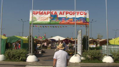 В Петербурге завершилась крупнейшая выставка на Северо-Западе «Агрорусь» для сельхоз-производителей