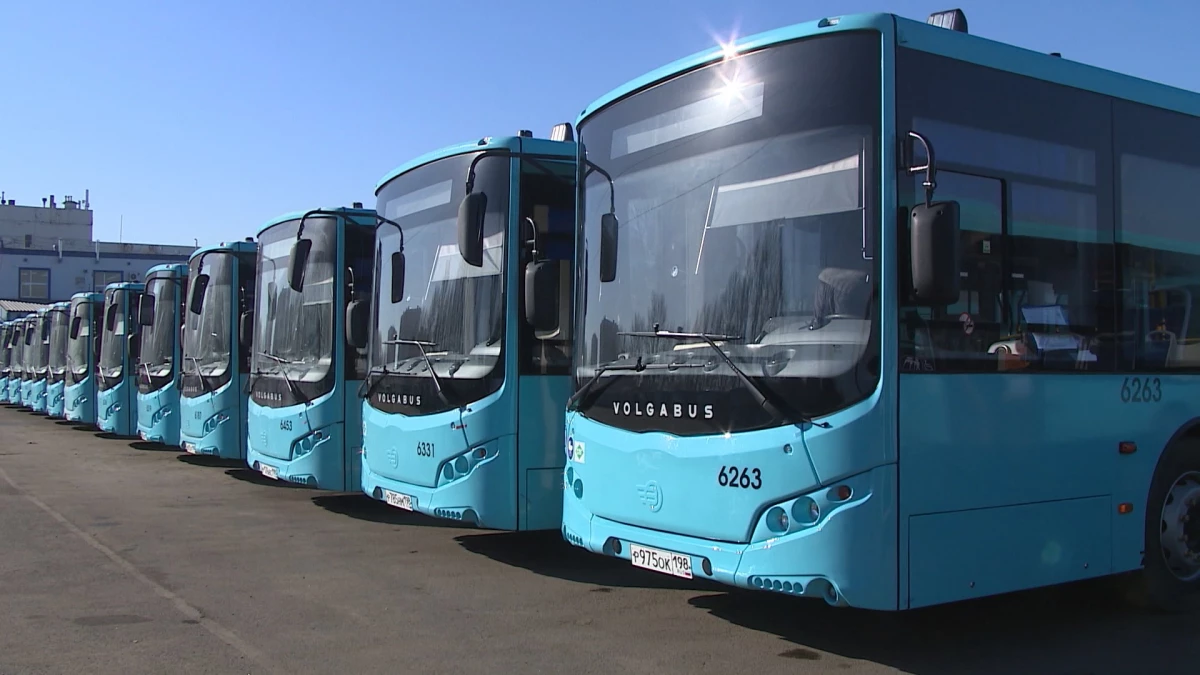 В этом году Петербург получит 500 новых автобусов - tvspb.ru