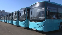 В Петербурге проверили более 33,5 тысячи автобусов