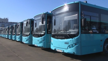 Петербург закупит 120 автобусов большой вместимости