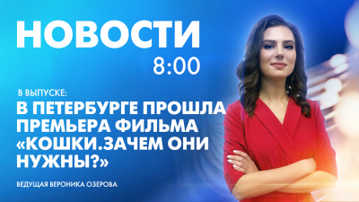 Новости Петербурга к 8:00