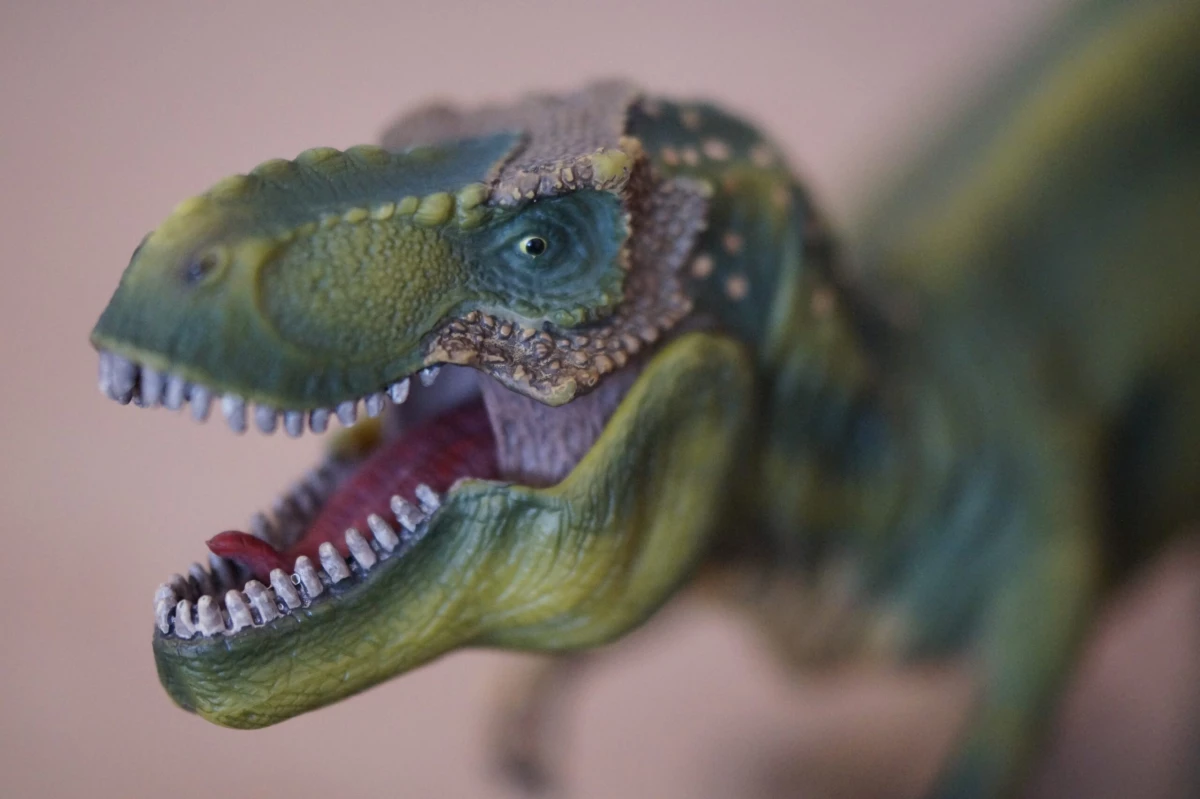 Испанские палеонтологи обнаружили новый вид динозавров - tvspb.ru