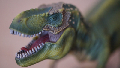 Испанские палеонтологи обнаружили новый вид динозавров