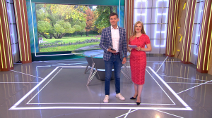 Утро в Петербурге 29 сентября