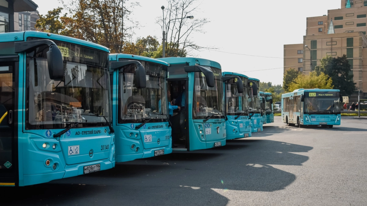 Петербург поделился с Подмосковьем опытом проведения транспортной реформы - tvspb.ru