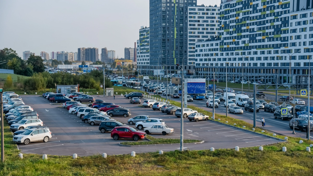 Петербуржцам расскажут, как посадить дерево у дома и где парковать автомобиль - tvspb.ru