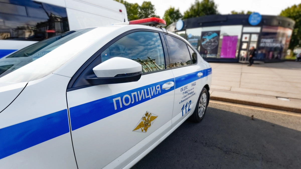 На севере Петербурга пожилую женщину насмерть сбила машина - tvspb.ru