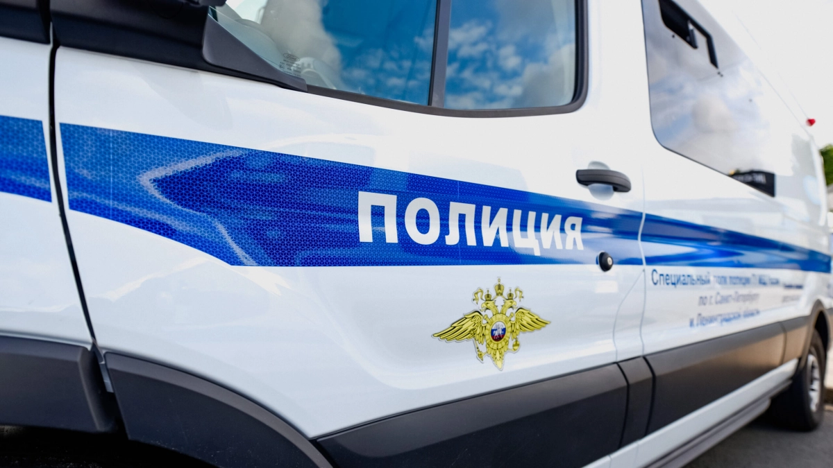 В Ленобласти избили и ограбили спящего в автомобиле мужчину - tvspb.ru