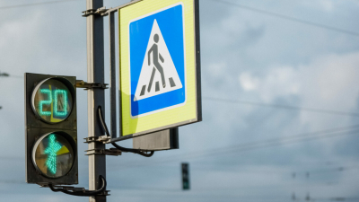 Водителю, который сбил ребенка в Горелово, дали 1,5 года ограничения свободы