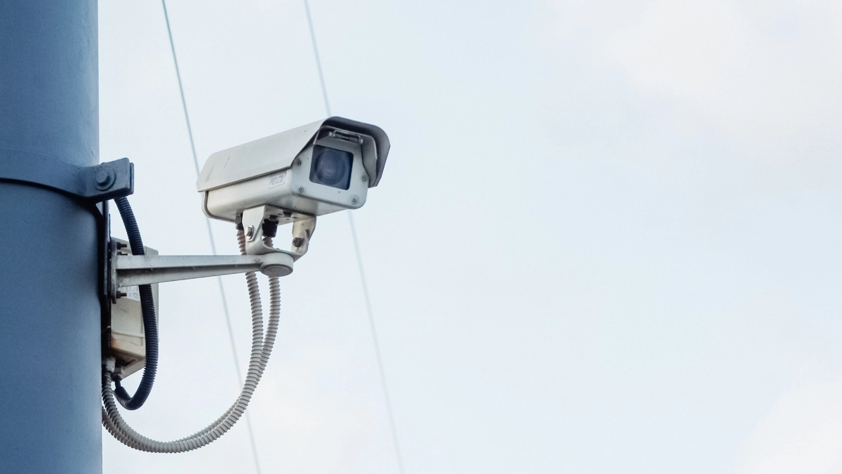 Петербуржцам рассказали, как обжаловать штраф с камер, если за рулем были не вы - tvspb.ru