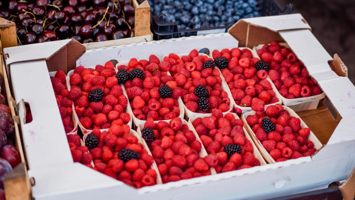 Россиянам рассказали, как правильно выбрать ранние ягоды и избежать аллергии - tvspb.ru