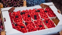 Россиянам рассказали, как правильно выбрать ранние ягоды и избежать аллергии