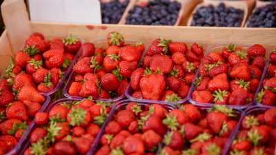 Россиянам рассказали правила выгодных покупок на фуд-рынках