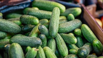 Росстат показал рост цен на продукты в январе: огурцы прибавили в цене почти 33%