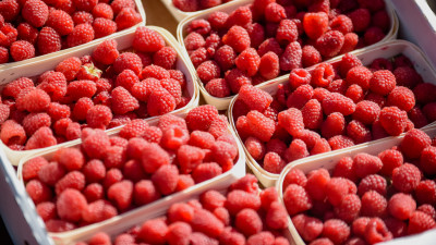 В Роспотребнадзоре рассказали о пользе малины