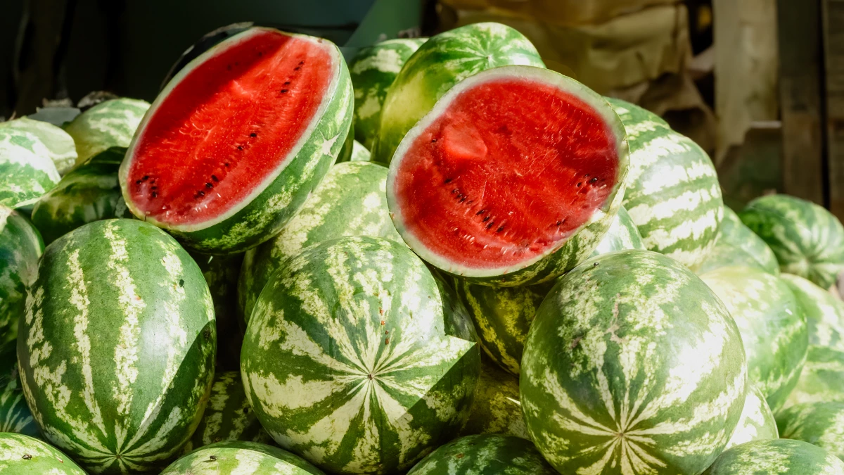Диетолог назвала безопасную суточную норму арбуза - tvspb.ru