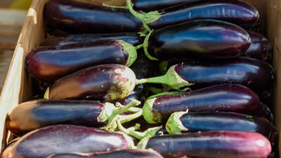 Нутрициолог объяснила, кому стоит отказаться от потребления баклажанов