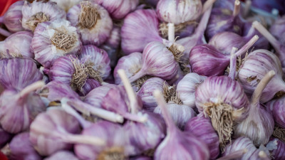Врач развеял популярный миф о пользе чеснока в профилактике гриппа